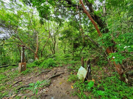 【豐濱-阿美族聖山】八里灣山朝聖去~897822