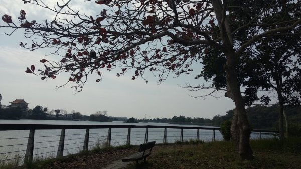 2020 2/4 虎頭埤878936