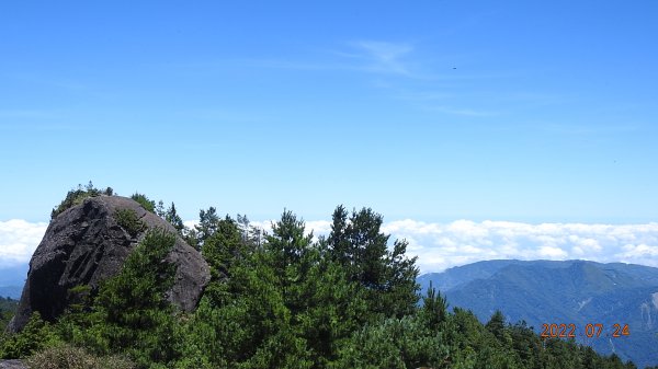 最高小百岳-大塔山2663M&阿里山二延平步道1775087