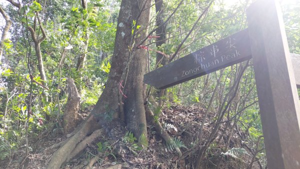 安坑五山縱走2784638