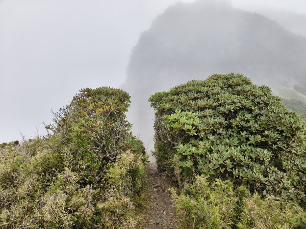 北一段(06/14)巴巴山 2025_0906~132886715