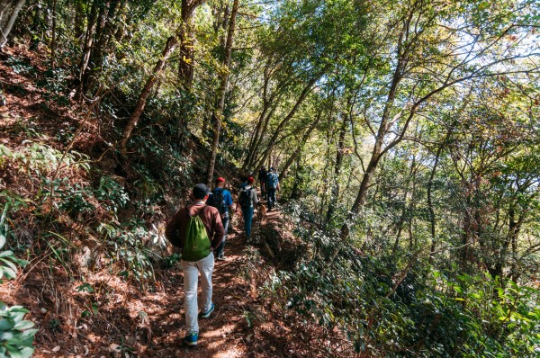 谷關七雄之五｜東卯山241808