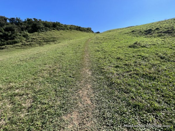 桃源谷步道（灣坑頭山）2349479