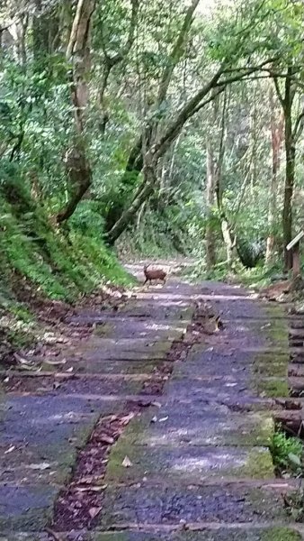 淡蘭南路（石牌-礁溪段）1434364