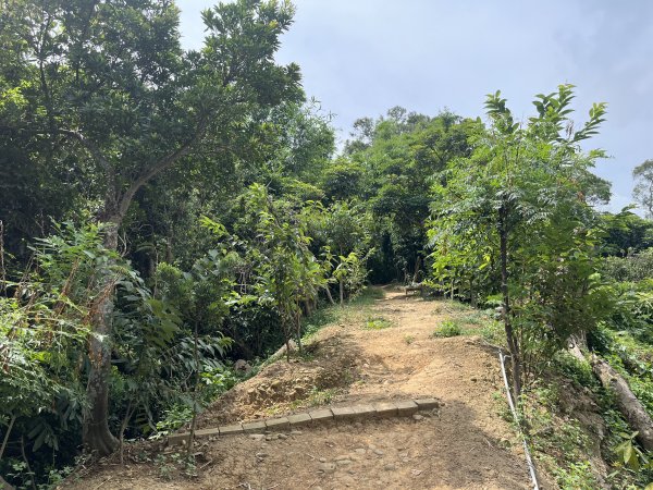 [皮皮獅探險隊-03/10] 2025_0706 犁頭山、文山步道2831471