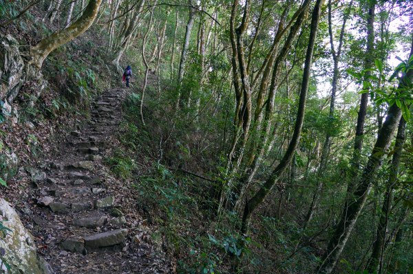 谷關七雄之馬崙山1230264