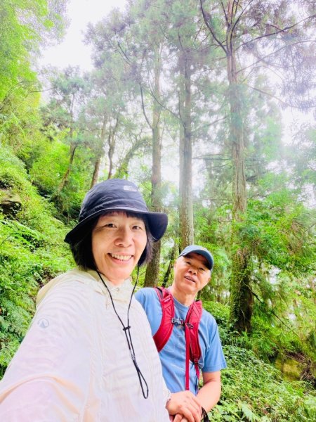 1150730嘉義大凍山之旅3092597