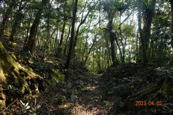 高雄 茂林 網子山、鳴海山、御油山2097376