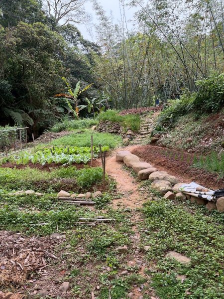 新北 林口 國際AI智慧園區-工一森林小徑-雪花步道-祖師巖登山步道-湖內公園3019084
