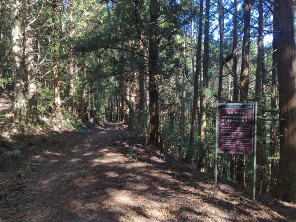 2025.12.06－北坑山步道&雪見遊憩區2956248