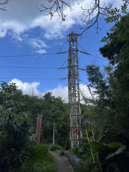 2024_1020 貴子坑親山步道2634247