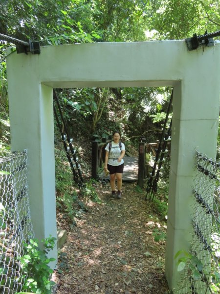 德芙蘭生態步道O形2829447