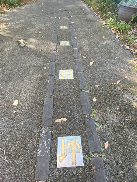 【四獸山 Short】虎豹象先行！獅山封閉中，等新步道開箱再相見2888831