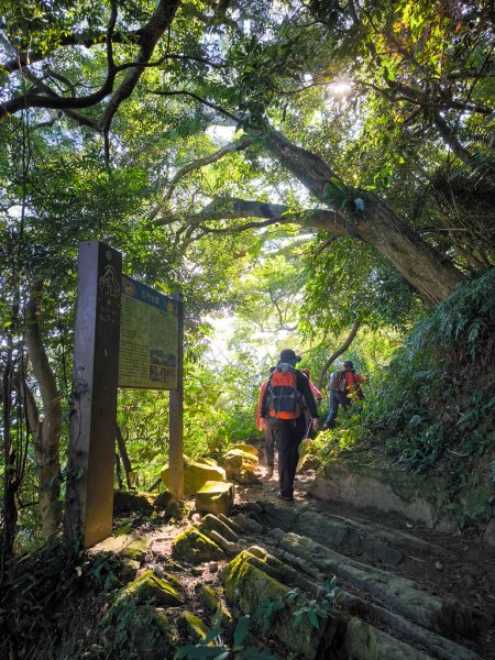 2026-01-25 龍潭小粗坑古道上石門山2994138