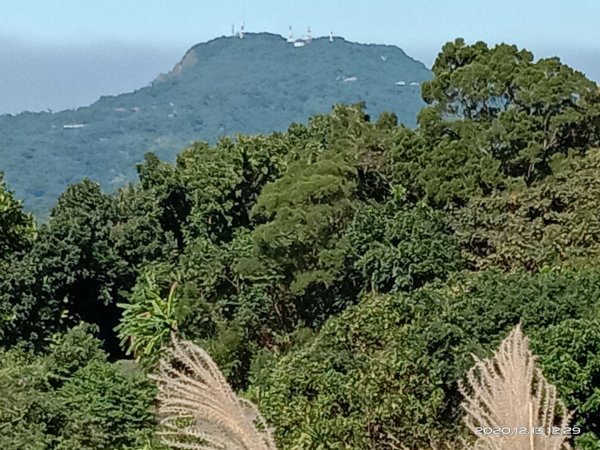  步道巡訪員 l 崁頭山步道12月份巡禮1204924