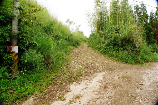新竹 尖石 八五山、李崠山、鳥嘴下山3060730