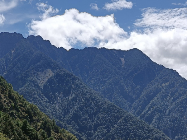 南玉山的真傳統/非傳統路線? 楠溪林道經巴伊車留山直上南玉山~難!遇!跚!