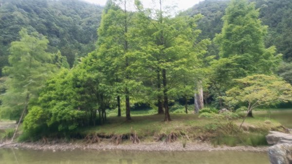 明池國家森林遊樂園1747652