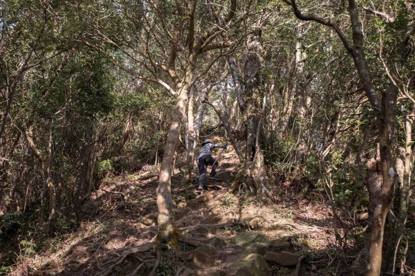 微笑山線 筆架連峰段段｜健行筆記尋寶任務2824788