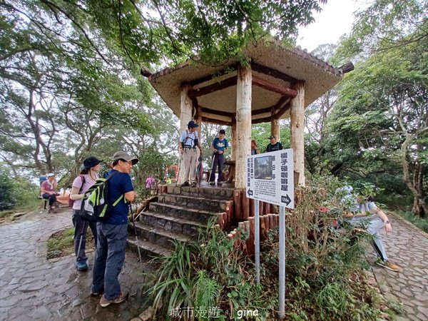 【新竹芎林】台灣百大必訪步道。 飛鳳山、觀日坪古道O繞2564346