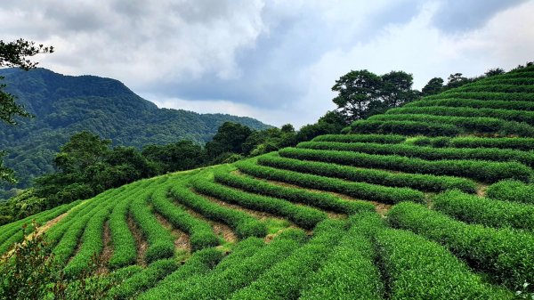 平溪中央尖山，慈恩嶺，東勢格越嶺古道，石碇鱷魚島，南港白匏湖，橫科彈藥庫舊址1751662