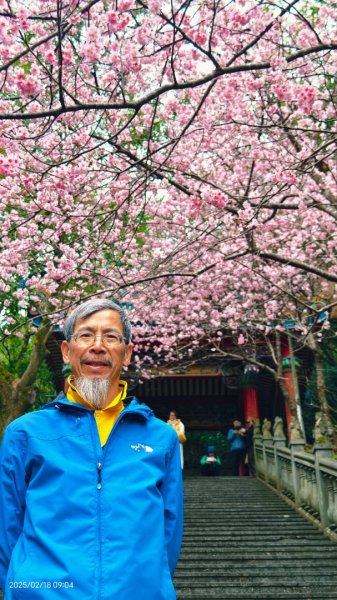 內湖碧山巖 2/182714787