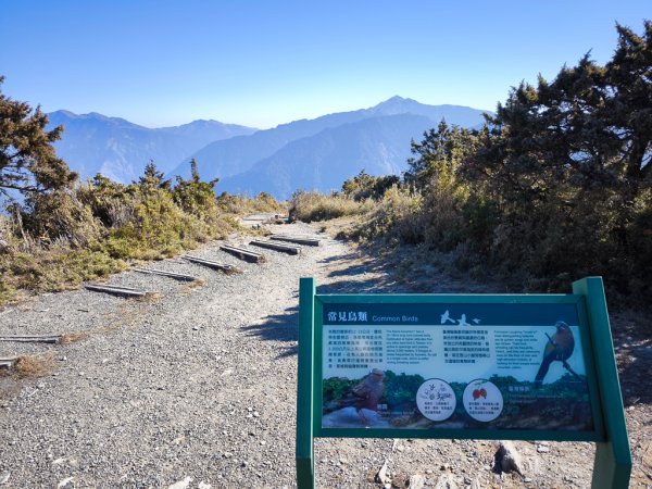 2026-02-09 庫哈諾辛山2998894