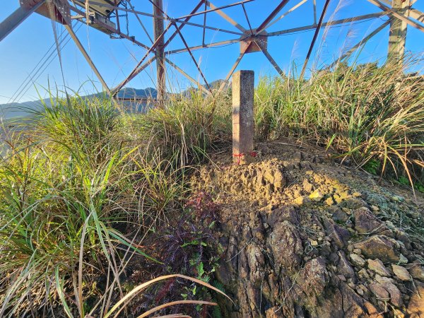 20260214磨碧潭山(坪林上三角崙山失敗中途撤退)回程順遊大尾山步道鬼子瀨尖3010919