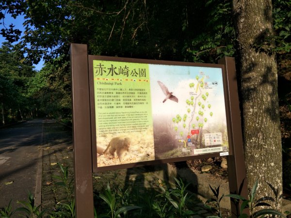 赤水崎公園+田中森林登山步道