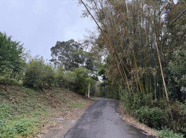 [樟之細路_第二大段RSA17] 2026_0328 飛鳳古道3026067