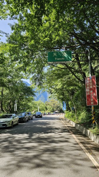 【被遺忘的南橫仙境】中之關、天池步道O繞10K2798187