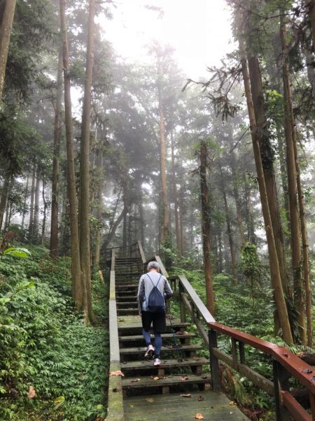 龍美景觀步道順訪山羊古道未竟之行412224