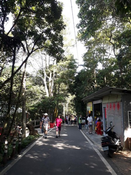 彰化員林臥龍坡環藤山步道20190714629490