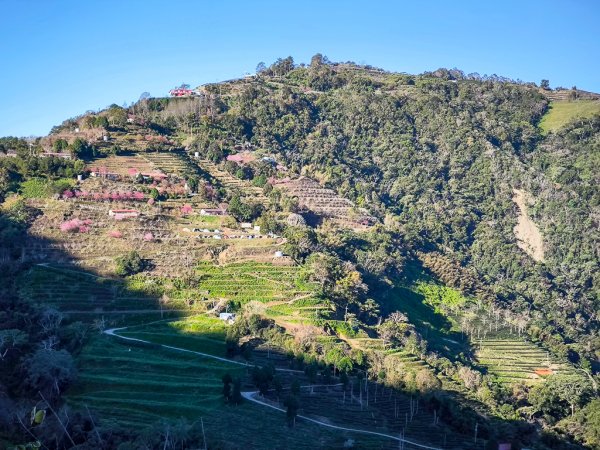 2025-02-16 巴蜈縱走2714306