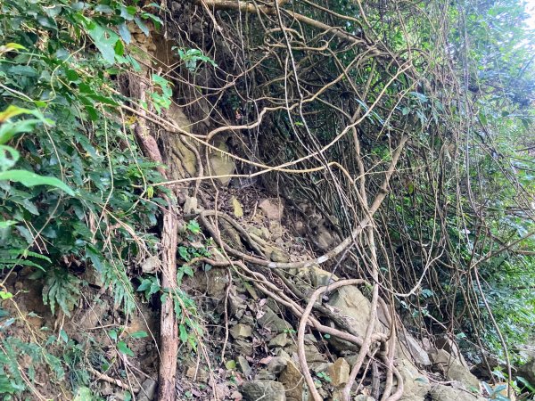 九份二山登山步道2688030