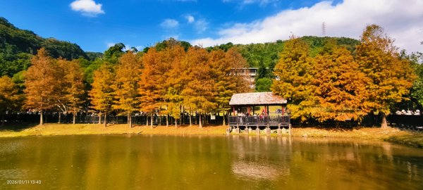 #花卉試驗中心 #永公路500巷 #平菁街42巷 #原住民公園 #士林官邸 1/42980359