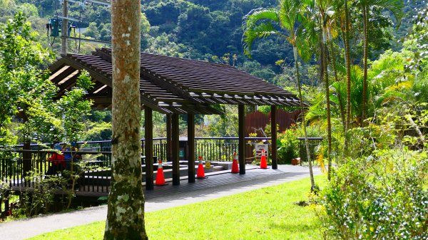 知本森林遊樂區3015066