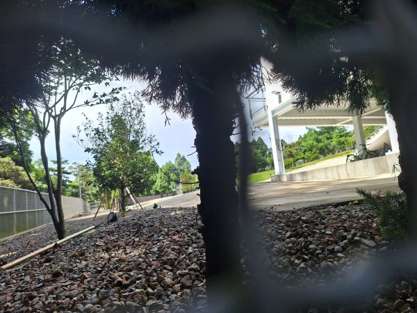 三義挑炭古道(三通嶺古道)11508233115417