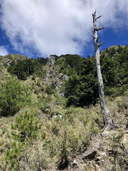 20251005 玉山前峰2906792