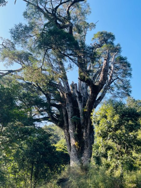 1140404二訪～塔關山2754056