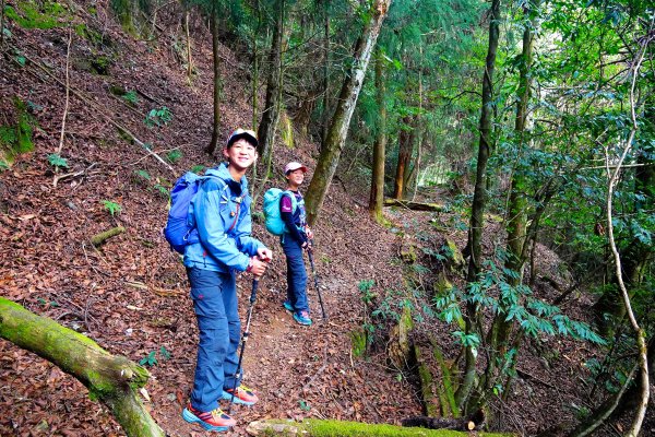 樂山舊鐵道順撿鹿坑山1320439