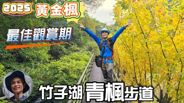 全新開箱青楓步道，陽明山竹子湖青楓步道，充滿神秘感的魔幻森林，欣賞黃金楓的最佳時機，季節限定，要來要快，好吃好又玩。