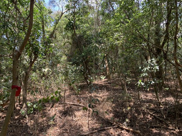 20250503屏東南和山2781488