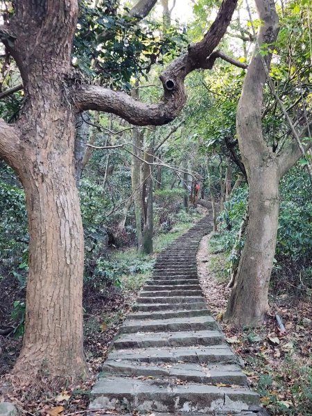 新竹湖口｜萬年道、仁和步道、金獅古道、漢卿步道2912207