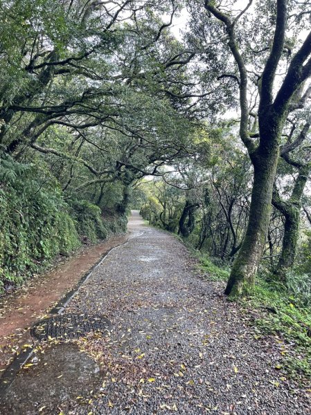 台北大縱走第一段2738397