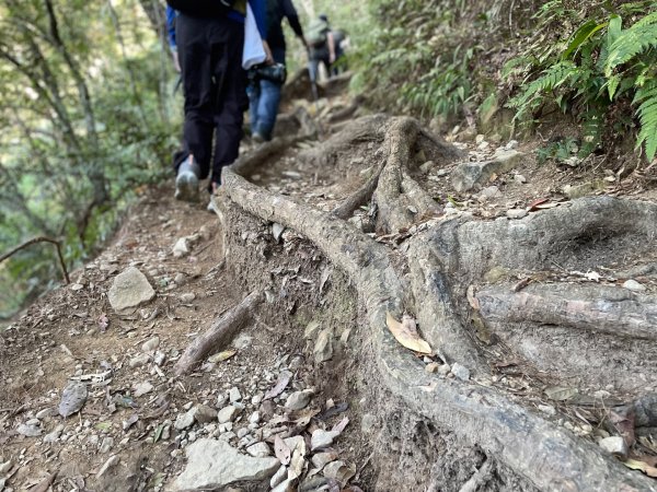 谷關七雄｜一日東屋縱走2923831
