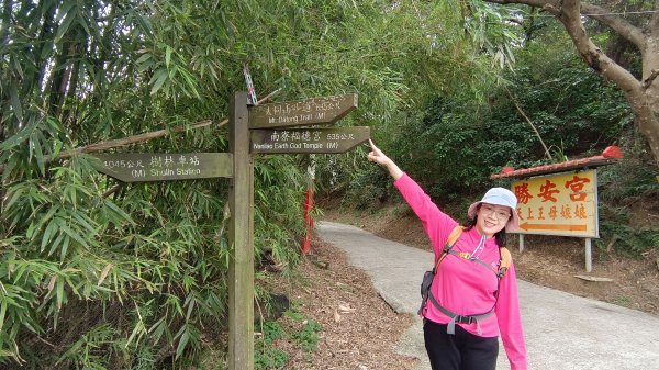 (姨婆趴趴走)第五十集:新北樹林大同山、青龍嶺、大棟山諸峰連走2751524