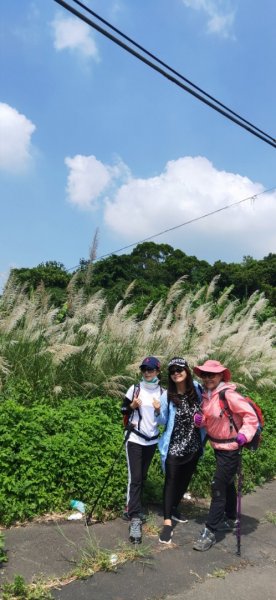 五間登山步道 接308高地773562