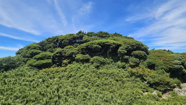 240714-石門山+合歡尖山+合歡東峰。美美兔凌晨3點出門來個合歡群峰半日遊。2567172