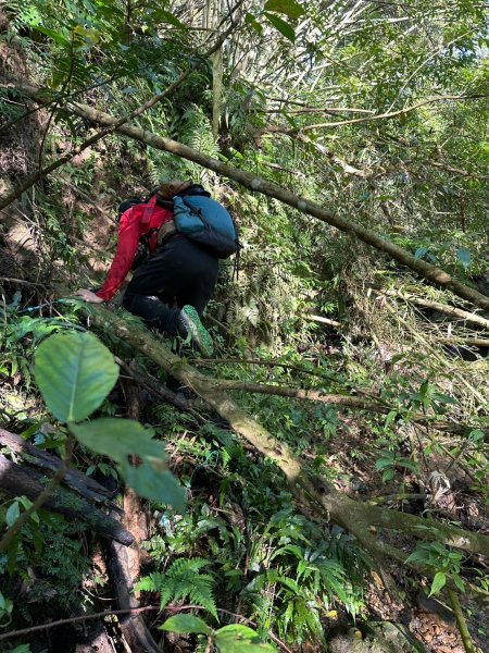 20250105隆盛山-煤渣山-雙溪口山主東峰-排寮尖-十八重溪山2683216
